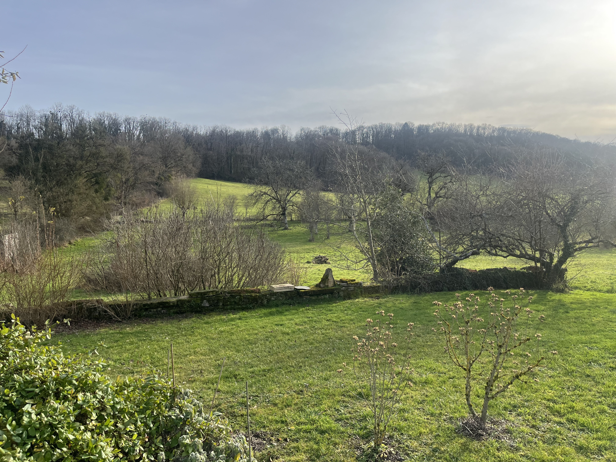 photo_1d97bce4b1f08c63297b4db7034bbc21