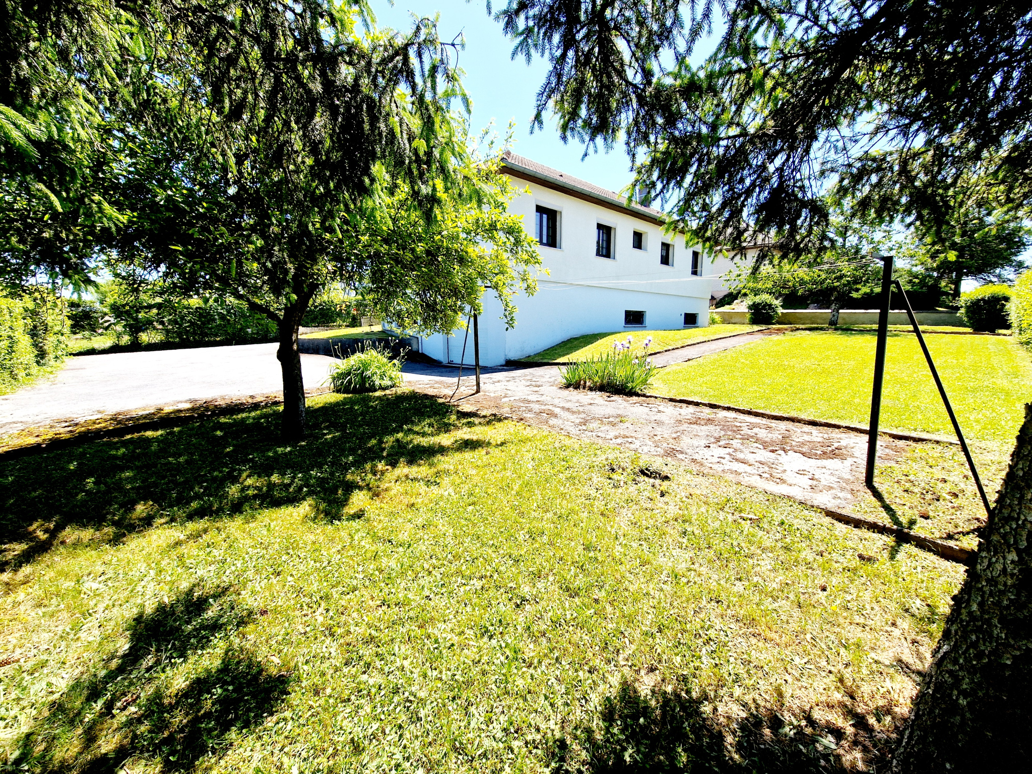 photo_2453a1acba6462d1df0bdbd4e9806c5d