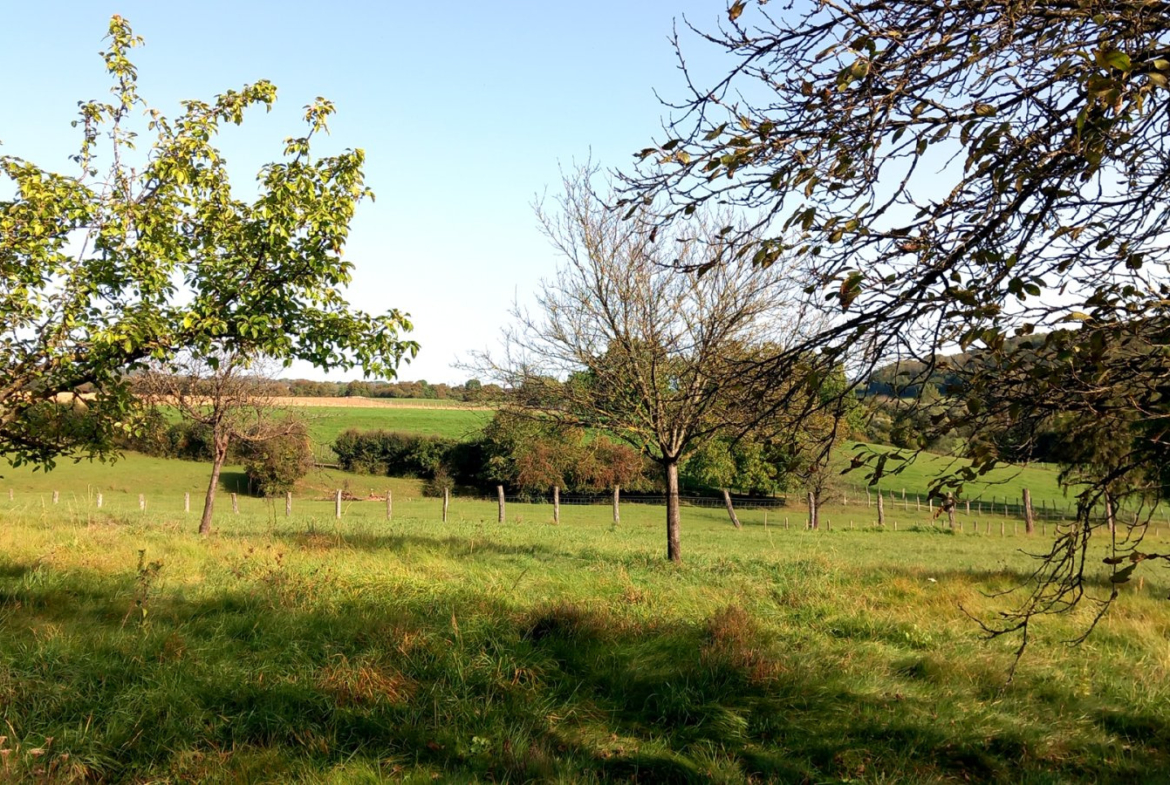 photo_413a3ff2b493f98a2079fcce0de0541a