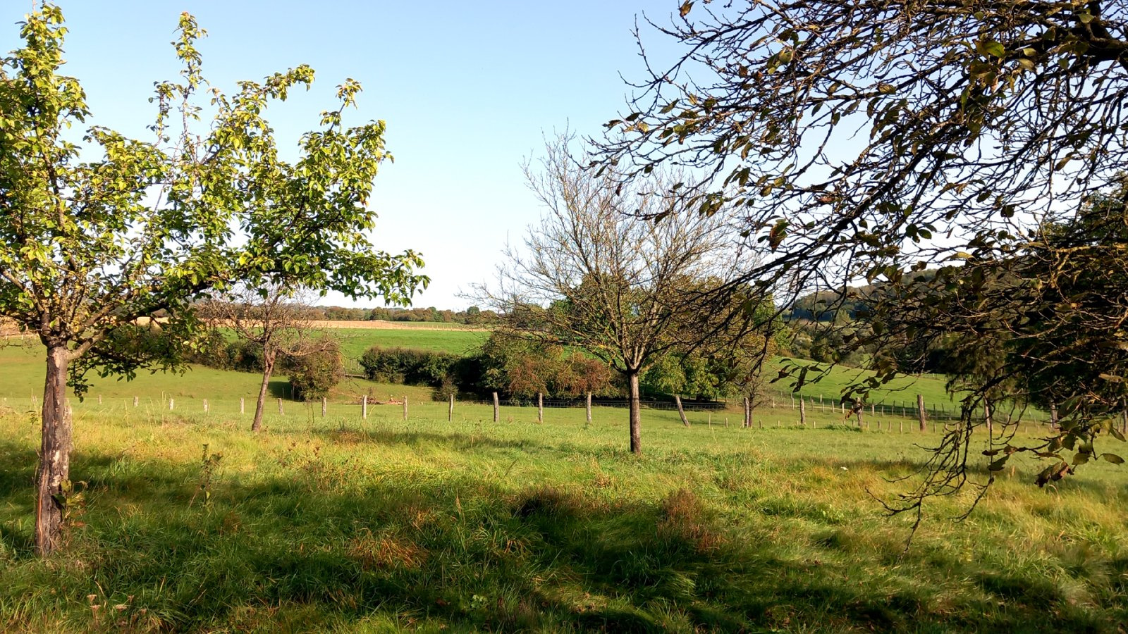 photo_413a3ff2b493f98a2079fcce0de0541a