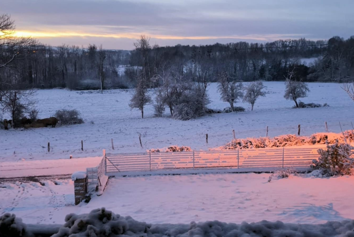 photo_7edb1fcce97f699b52a5098b51a657e5