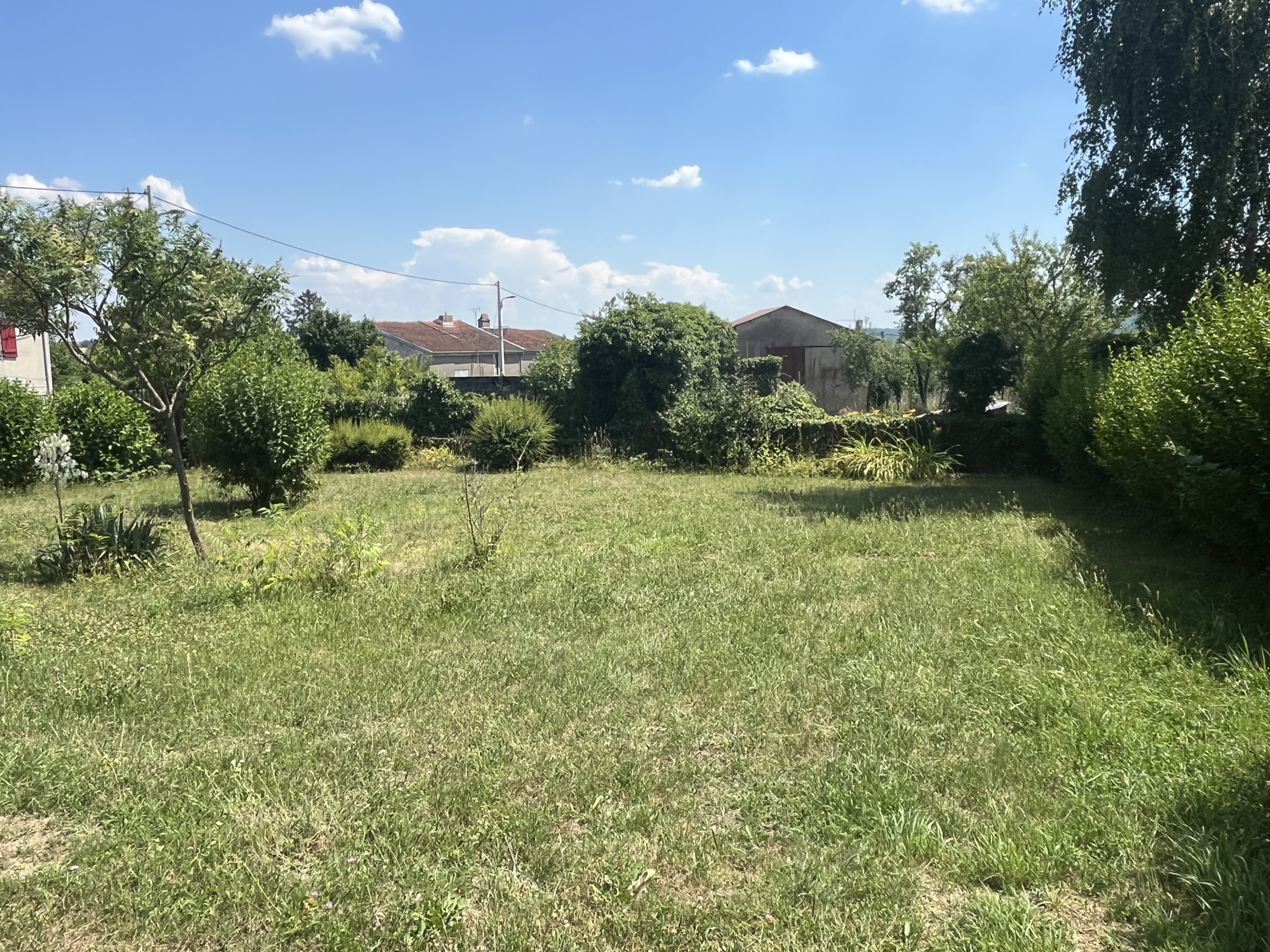 photo_904d28a63d8d67967a165af3f55dc780