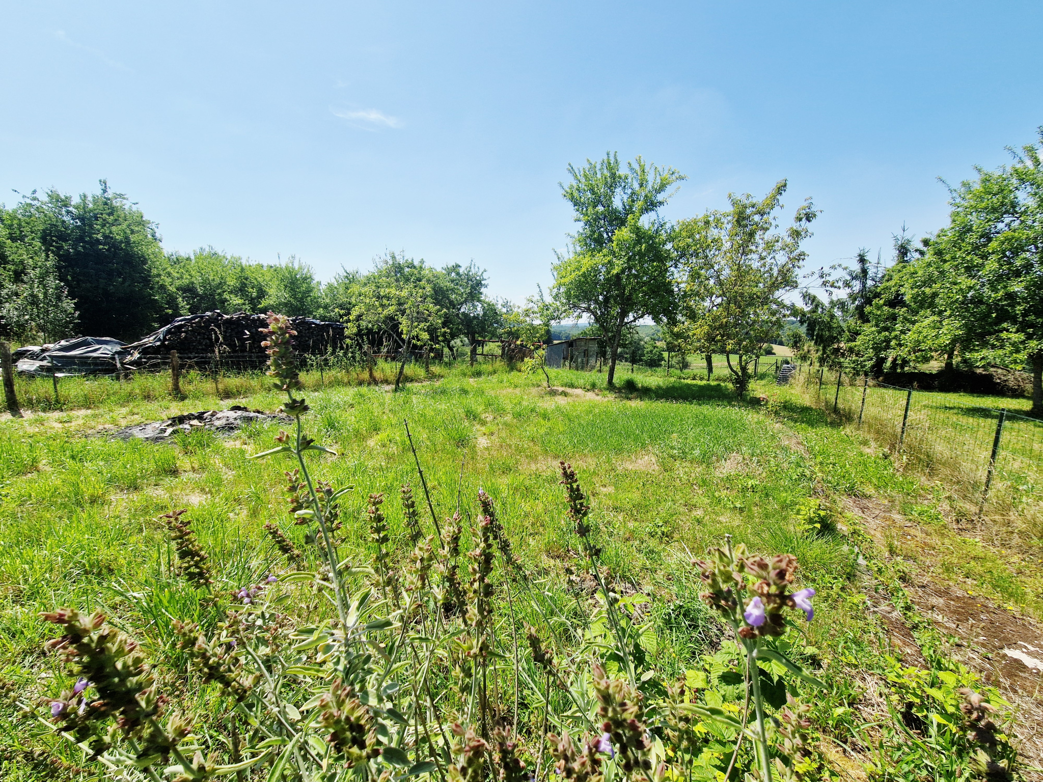 photo_95460a6ffc8bcdf0ada165d7bffb1a75