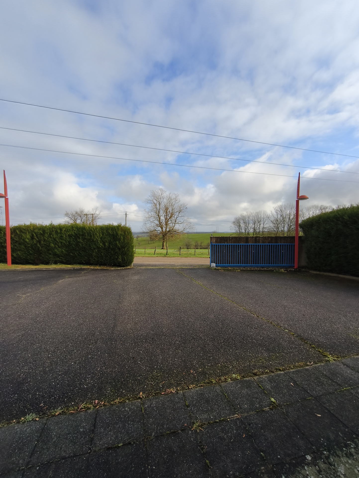 photo_99ed0ec15d7538cb1626709e3c06c30a