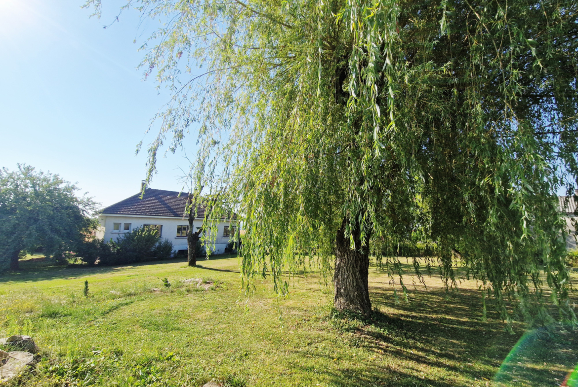 photo_b42387e6a6b1f79017d42a885e69d04b