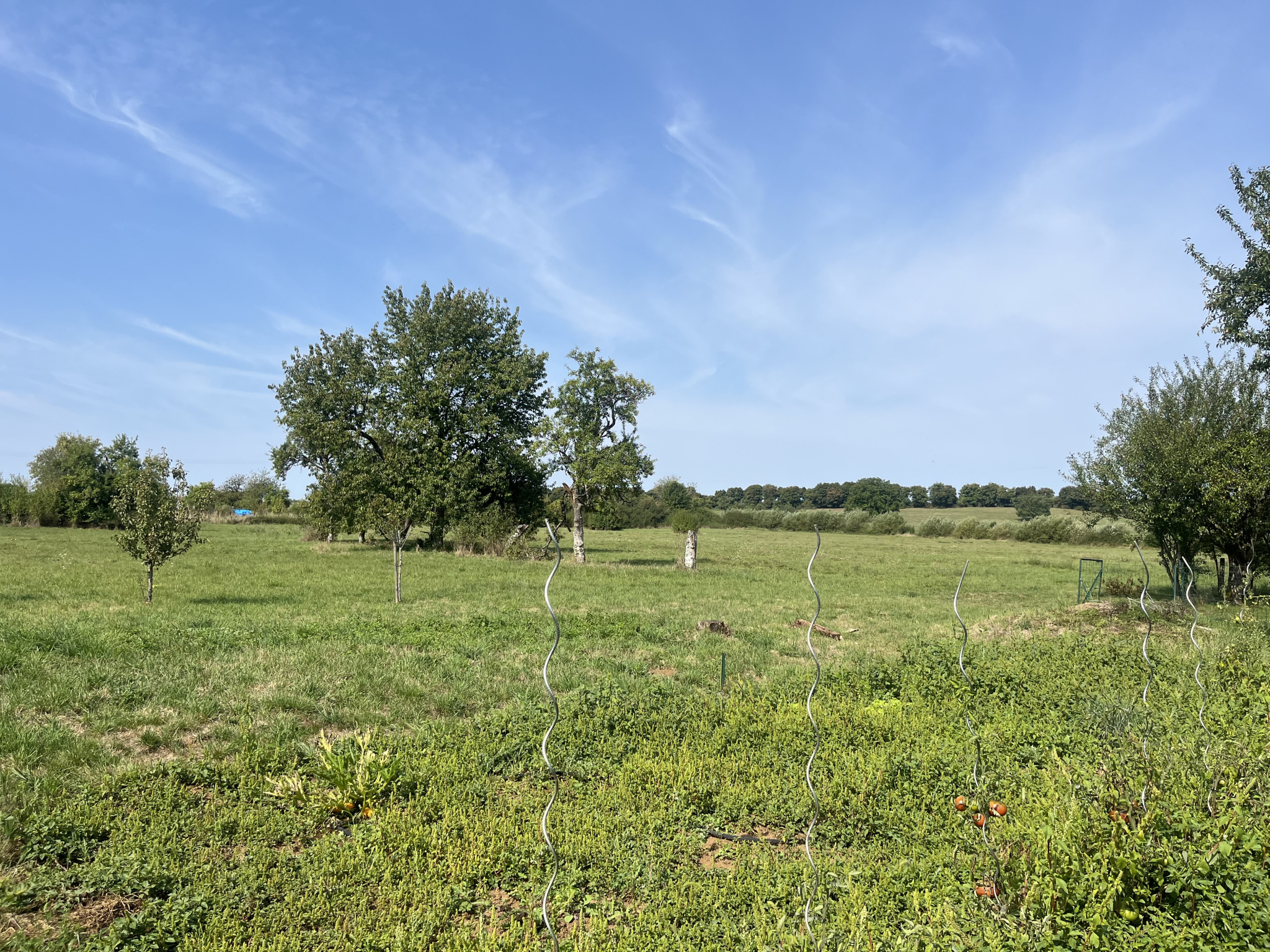 photo_baa1c4b41378bb9000a23ad5977b44a1