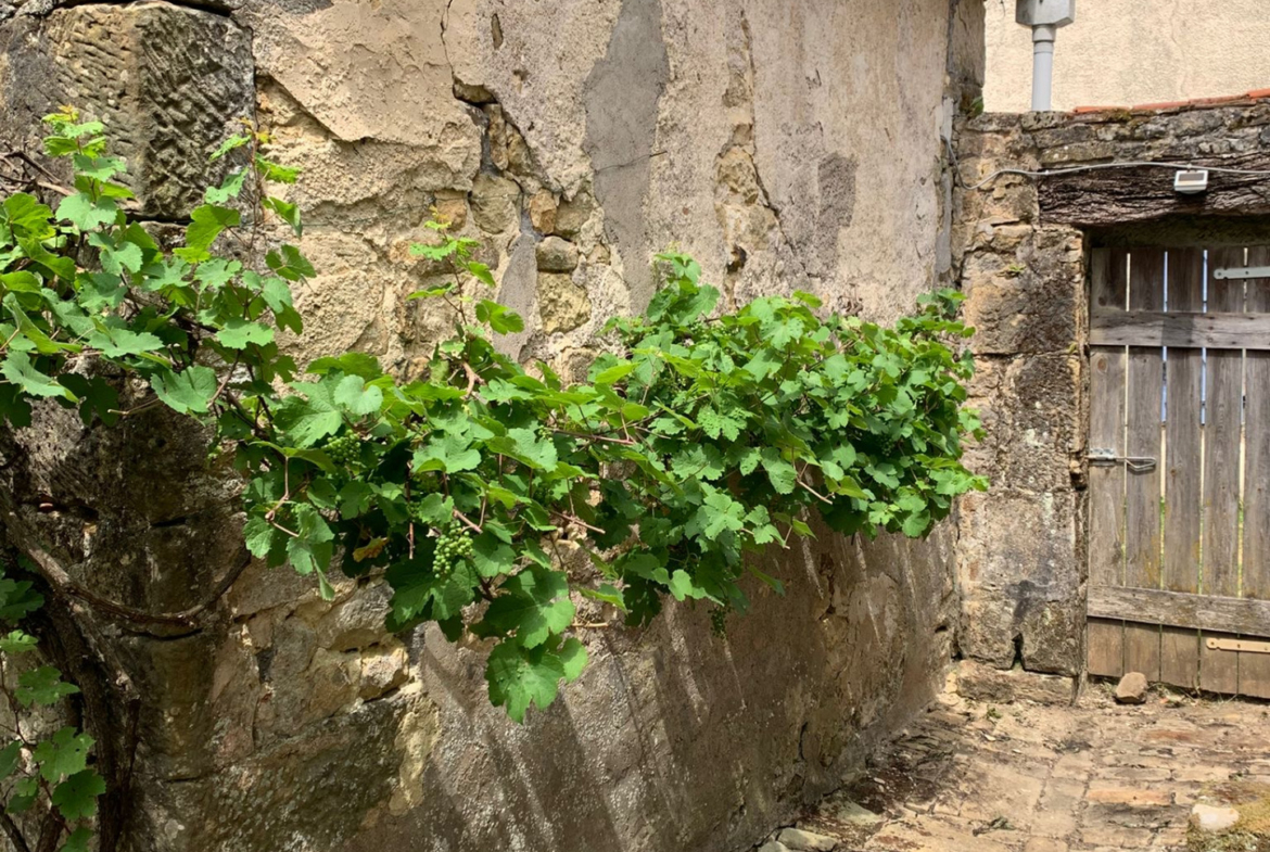 photo_c1b8c1ff6a7d7bba5f24f4d720569610