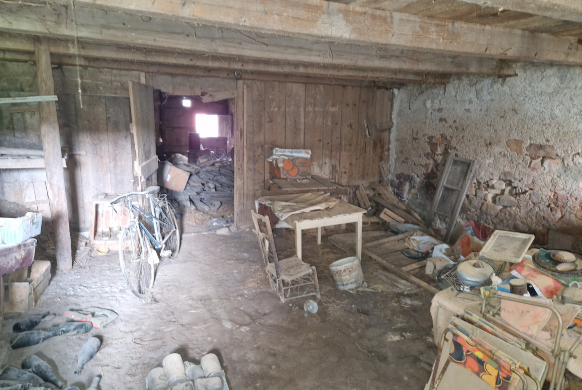 photo_f2829e55878c21225b2b85dae81dc0ab