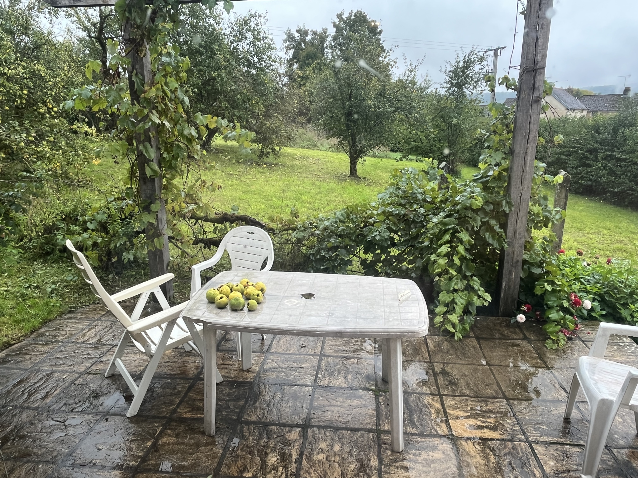 photo_f44c6a15c958926fc802bb5b905f653c