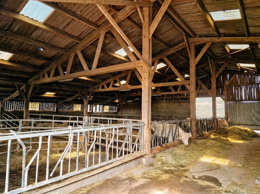 photo_f75a2077133b439ed3a6f6a3496deff3