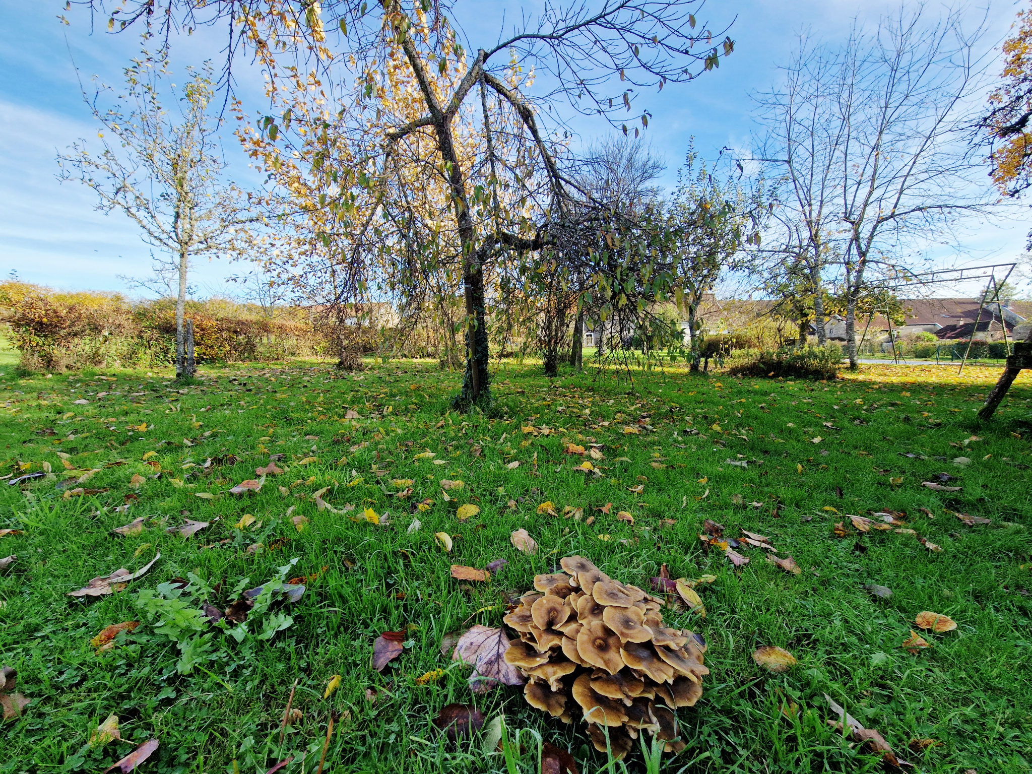 photo_fc822ab594aa58d5525b0aeae896d99d