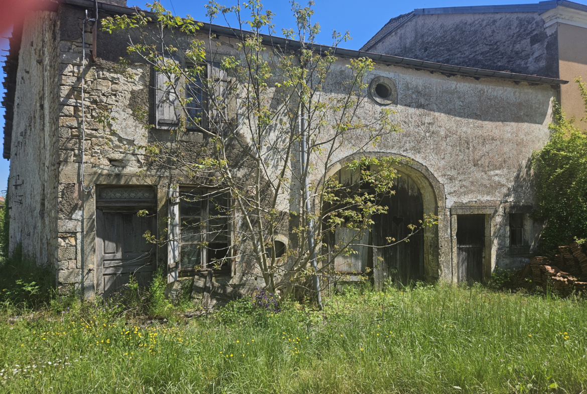 photo_0675a2a9501b57417b0d05e5c6759283