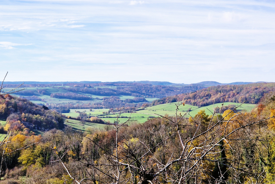 photo_0e9cd9a74e240c41ea48ead76065b571