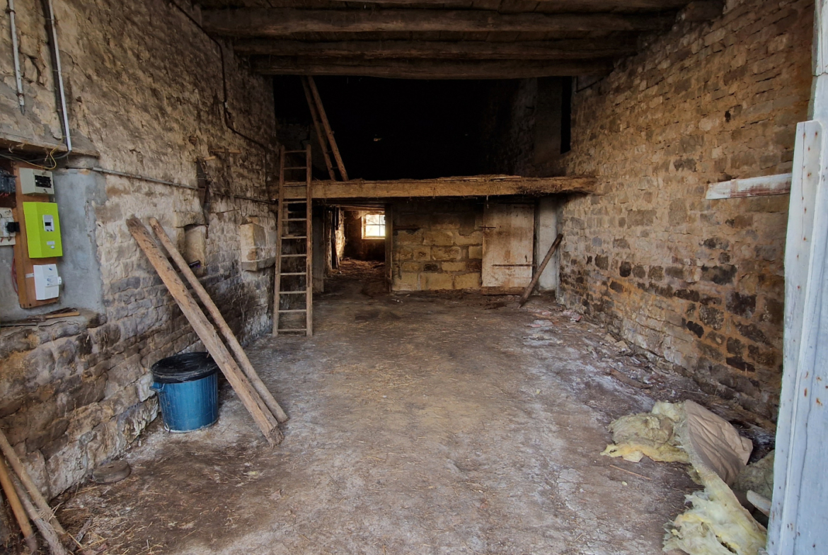 photo_5dba4d85c4cc7a700464d65f2a4aadb5