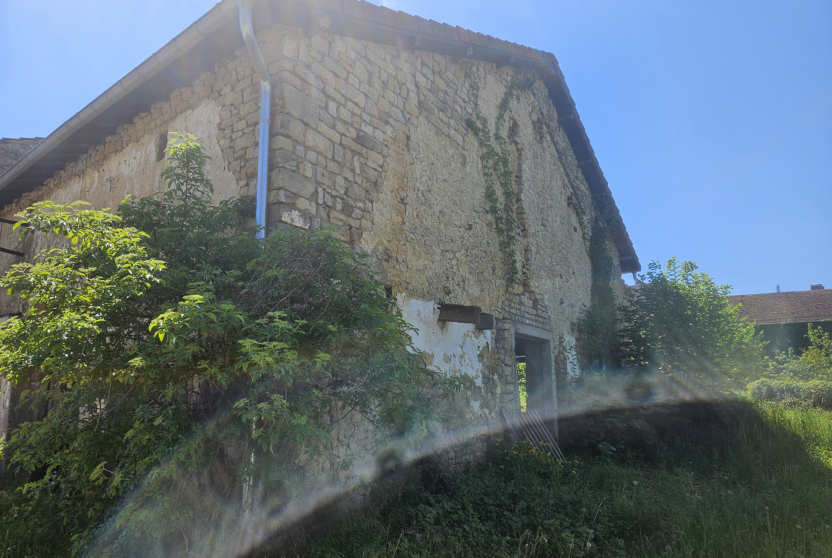 photo_76a6c590440edf22676fced1eed3e1e3