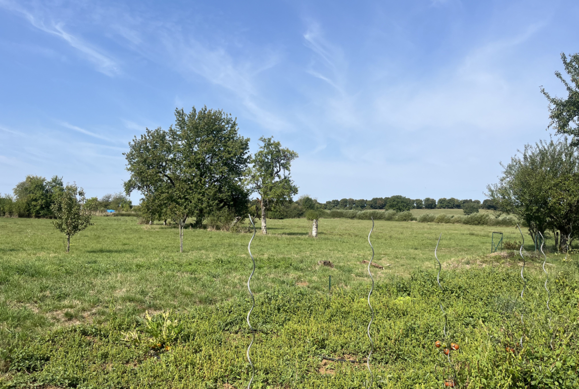 photo_baa1c4b41378bb9000a23ad5977b44a1