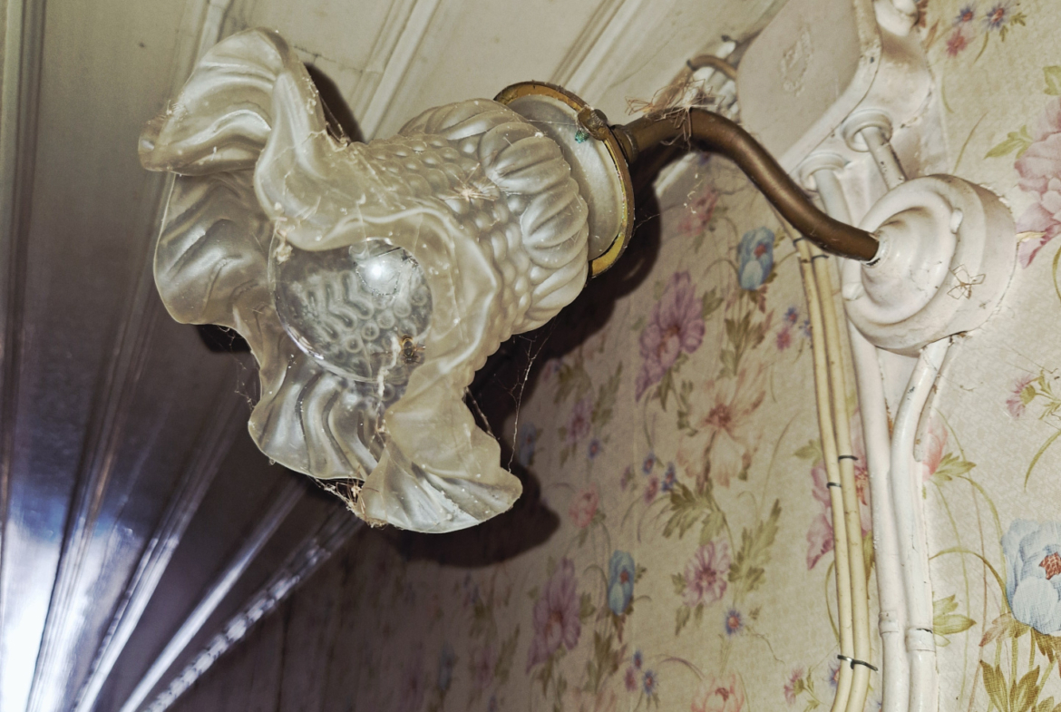 photo_c3d87c6189ffaf784218a12d70169e58