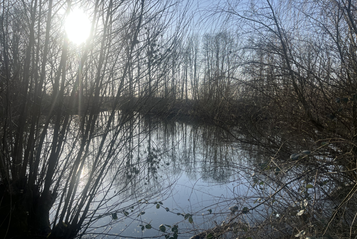 photo_e7674a57df8a330516d9db09c5738a8e