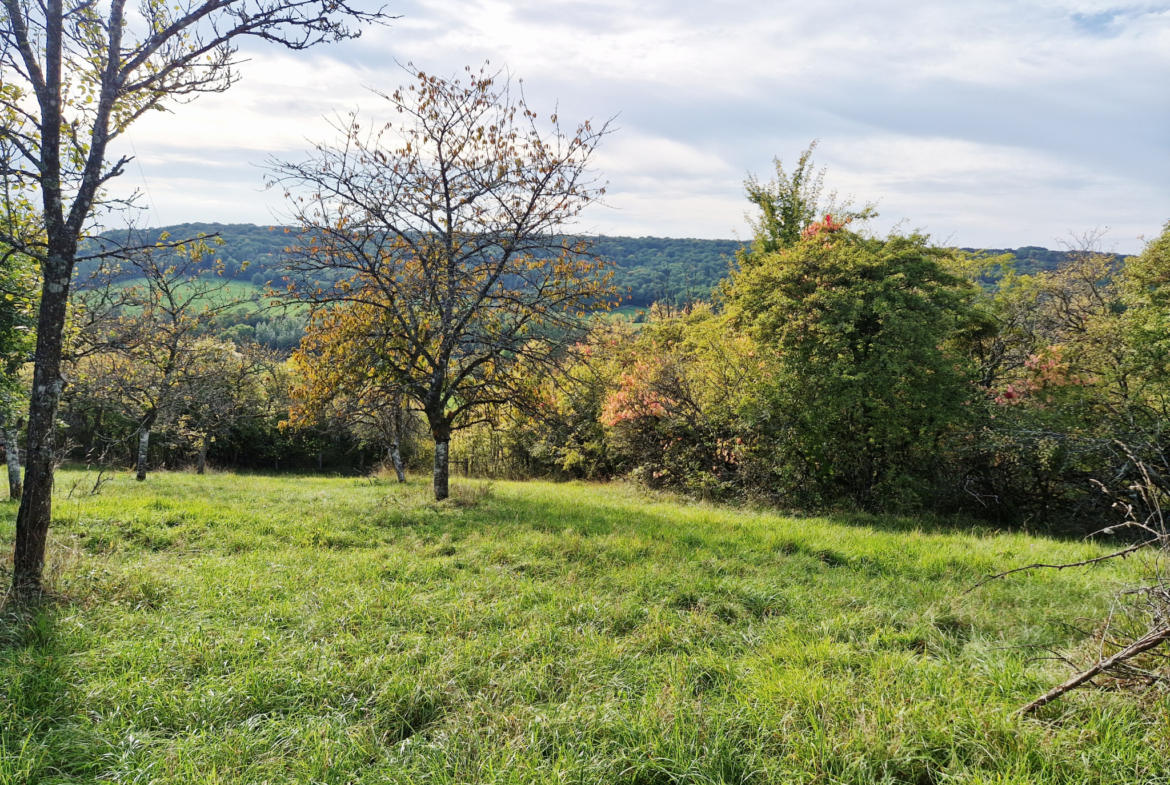 photo_3de9d70399c3f14068ab23c4a142efd6