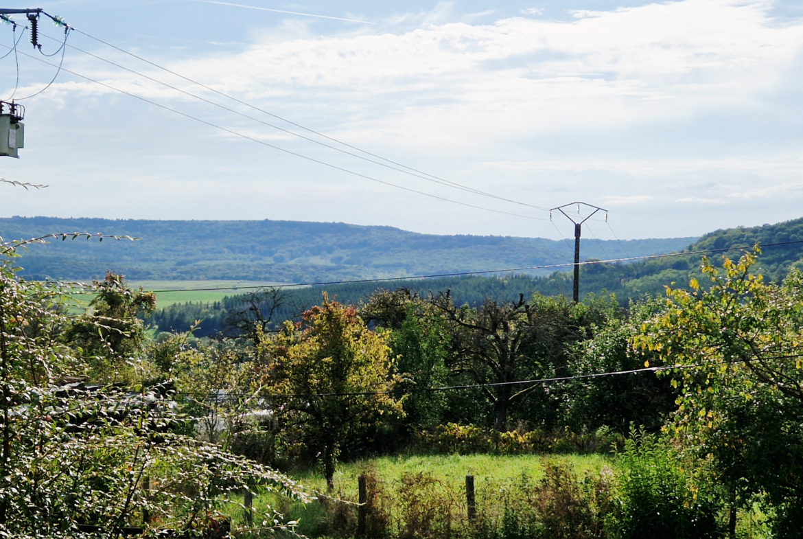 photo_cb9a21dd85981284473e668558699e8c