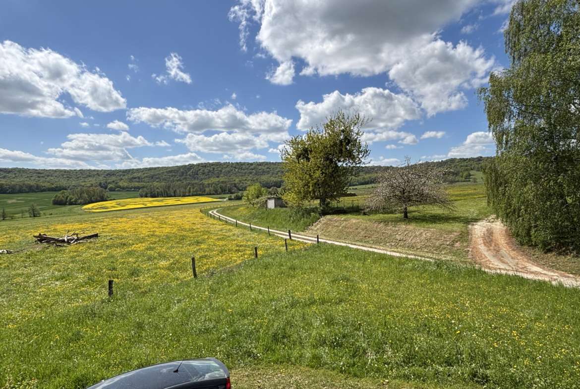 photo_bf968e7a0e79373246669ea09419aec9